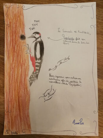 Dessin de Aurélie