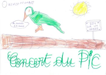 Dessin de Kenzo