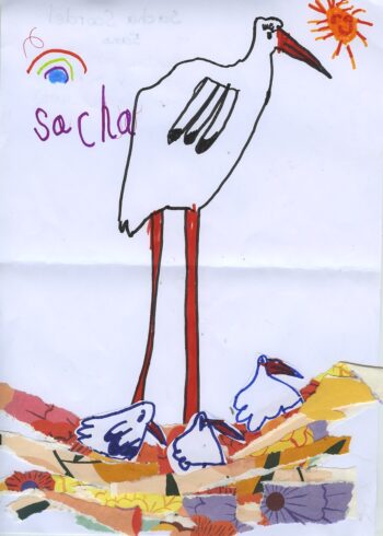 Dessin de Sacha