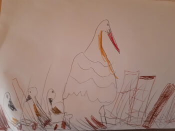 Dessin de Sofia