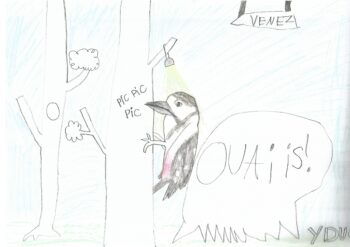 Dessin de Y Duc