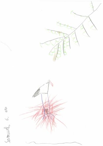 Dessin de Samuel