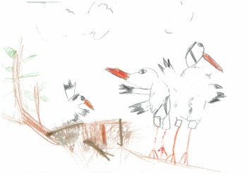Dessin de Ilias