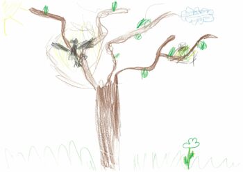 Dessin de Oscar