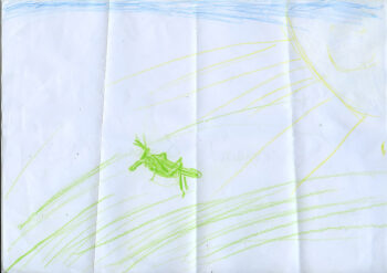 Dessin de Armand