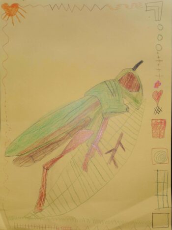 Dessin de Lucie
