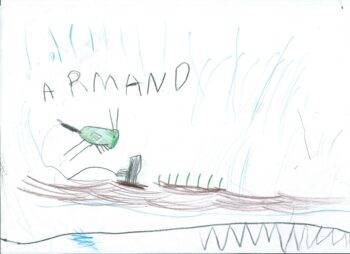 Dessin de Armand