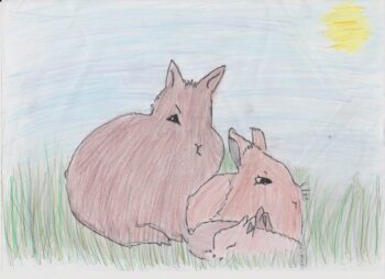 Dessin de Luce