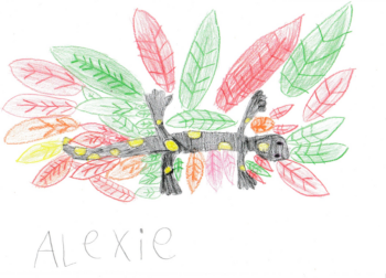 Dessin de Alexie