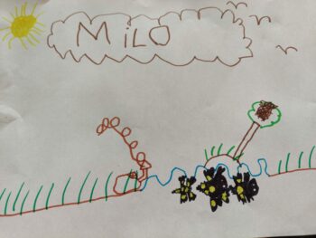 Dessin de Milo