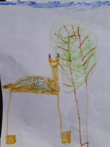 Dessin de Josselin