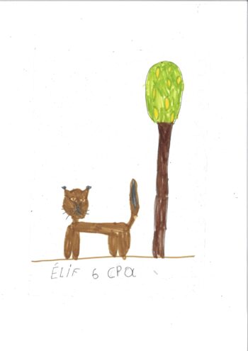 Dessin de Elif