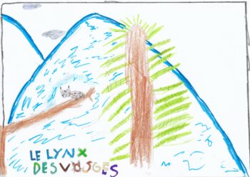 Dessin de ABEL