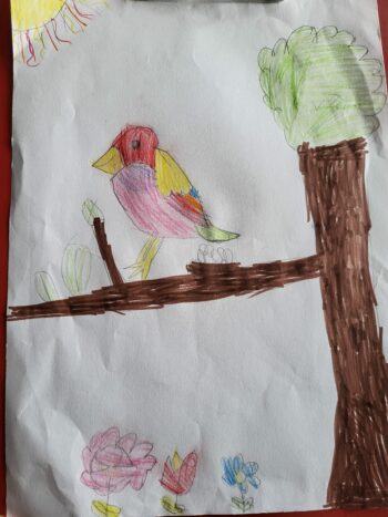 Dessin de Erika