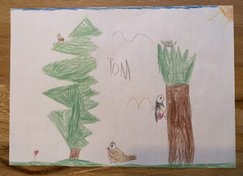 Dessin de Tom