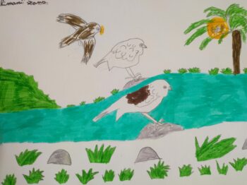 Dessin de Himani