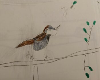 Dessin de Zoé