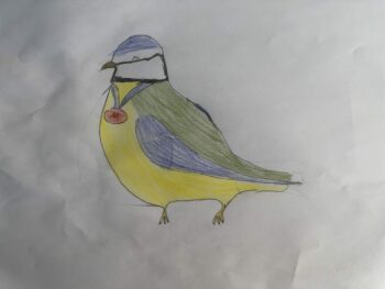 Dessin de Lucie