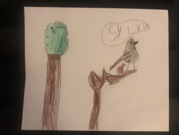 Dessin de Sylvia