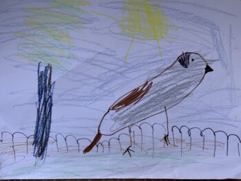 Dessin de Ruben