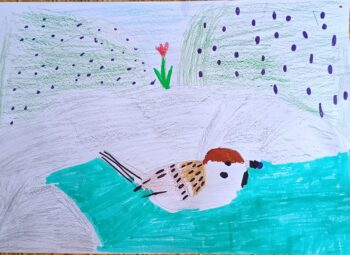 Dessin de Lucie