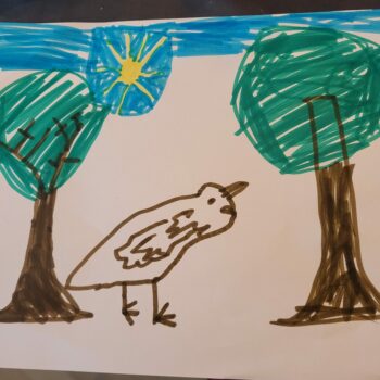 Dessin de Matteo