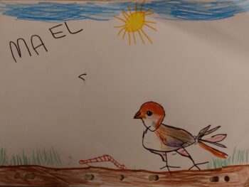 Dessin de Maël 