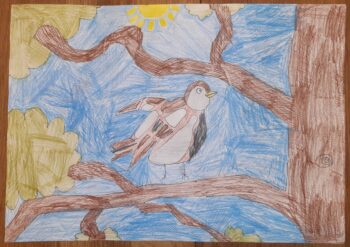 Dessin de Léon