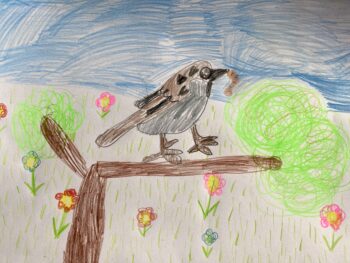 Dessin de Pauline