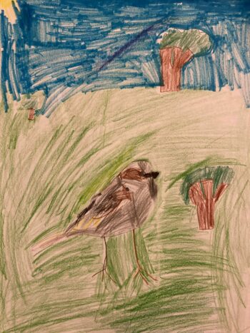 Dessin de Naim
