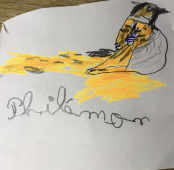 Dessin de Philémon