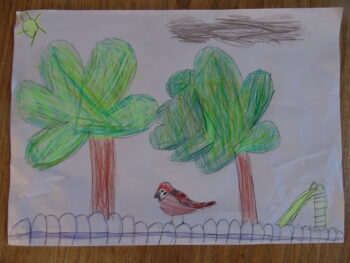 Dessin de Anaïs