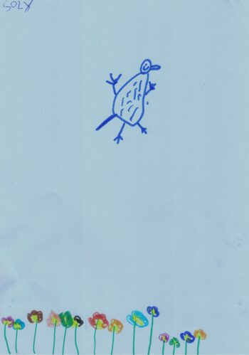 Dessin de Soly