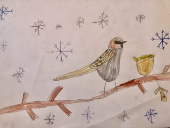 Dessin de Soliane