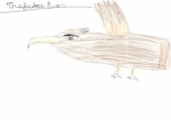 Dessin de Evan