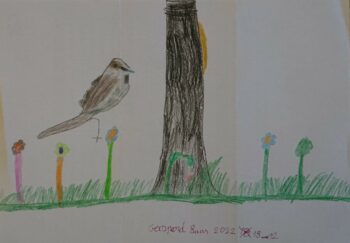 Dessin de Gaspard