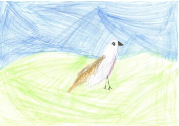 Dessin de Amanda