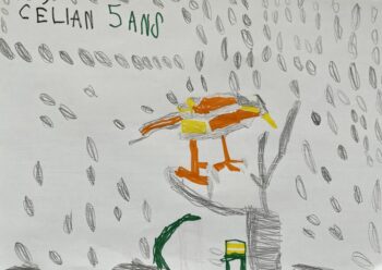 Dessin de Célian