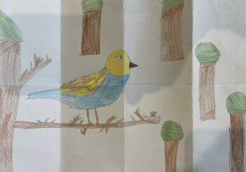 Dessin de Clement
