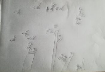 Dessin de Thomas