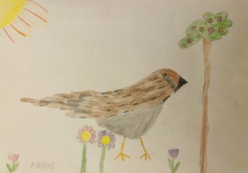 Dessin de Pierre