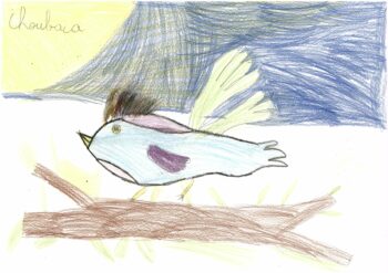 Dessin de Juliette