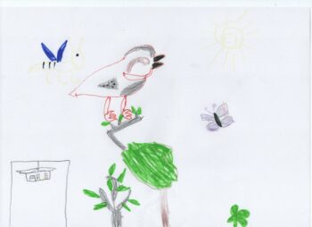 Dessin de Solel