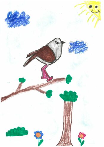 Dessin de Matteo