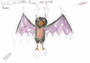 Dessin de Noan