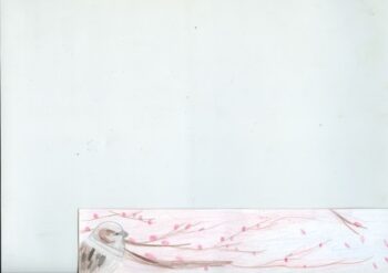 Dessin de Serena