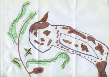 Dessin de Sofia