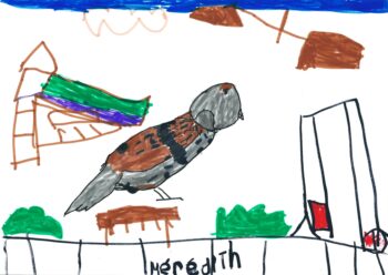 Dessin de Mérédith