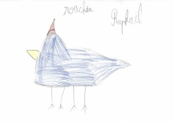 Dessin de Raphael