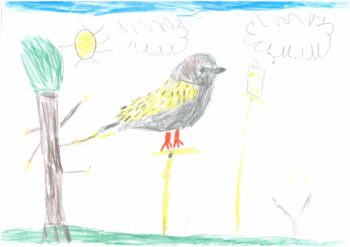 Dessin de Maxence